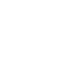 BUD